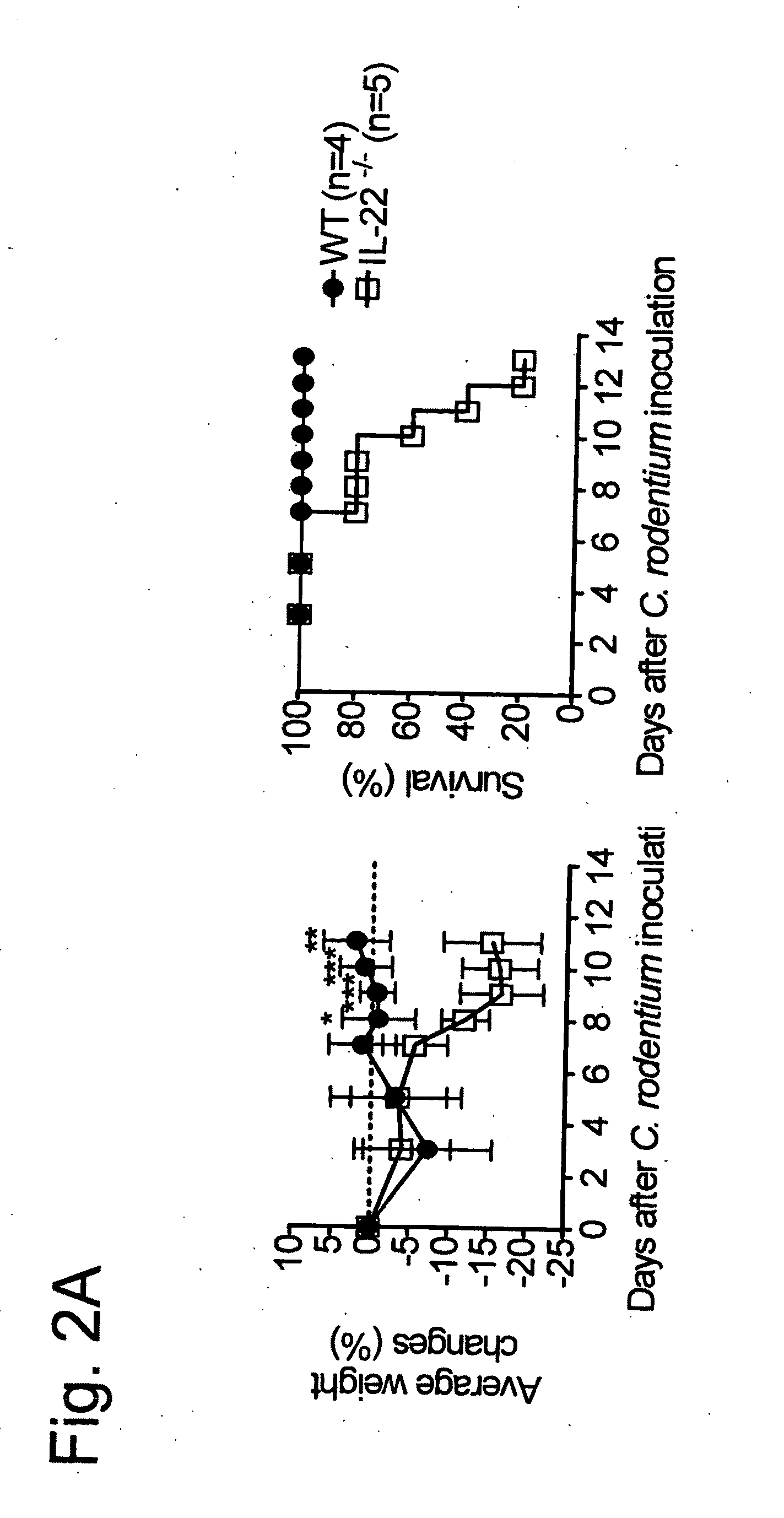 Methods for treatment of microbial disorders