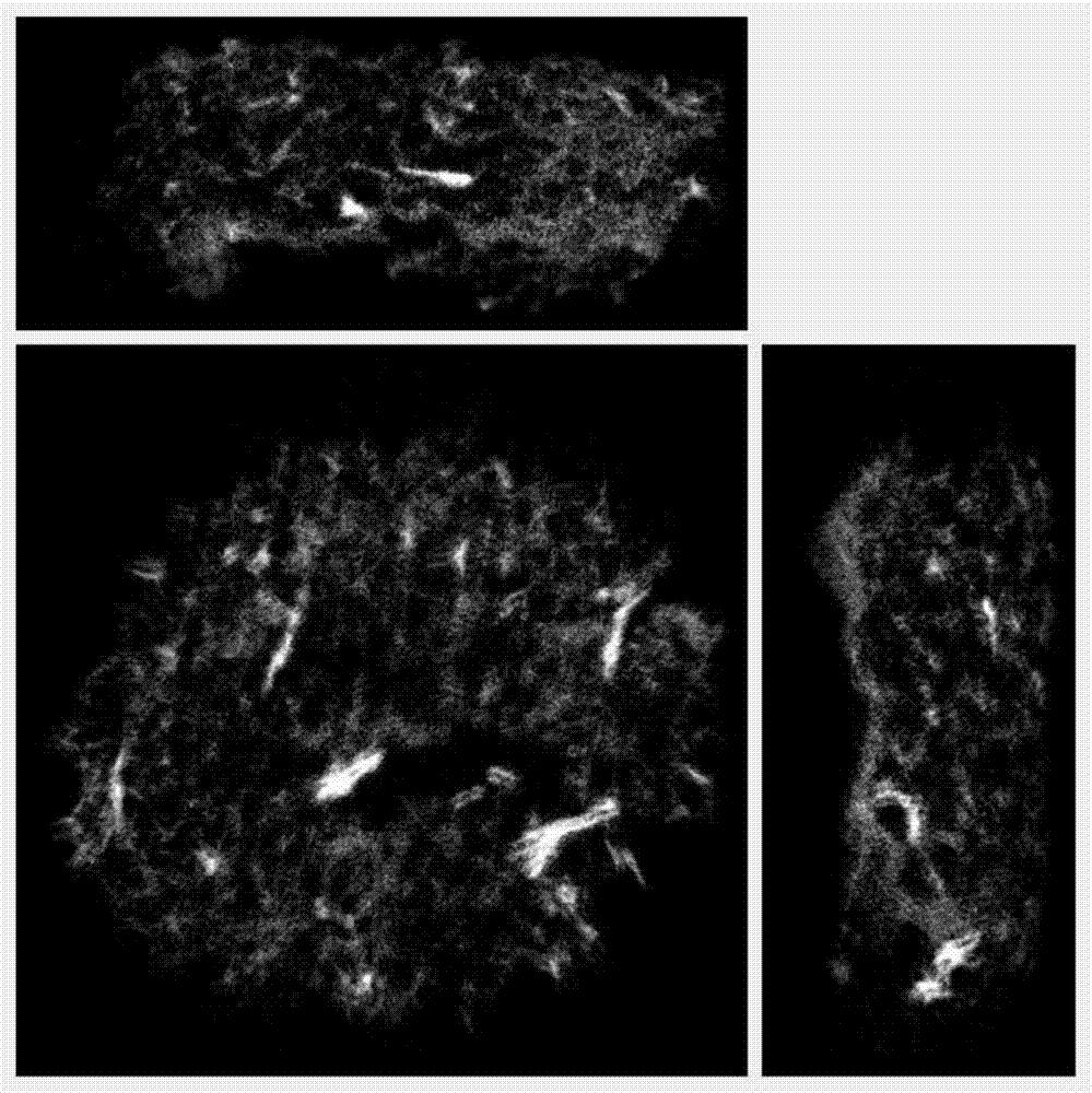 Method for inducing bionic calcification in collagen fibers through polymer polyelectrolyte, and applications thereof