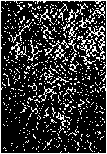 Metallurgical phase corrosive agent