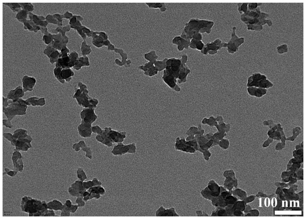 Water-soluble ultrathin carbon nitride two-dimensional nanosheet as well as preparation method and application thereof