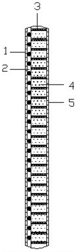 Plant-growing meshwork carpet for slope restoration and slope restoration method