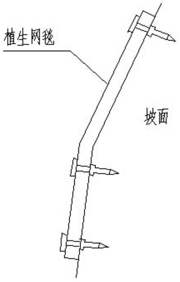 Plant-growing meshwork carpet for slope restoration and slope restoration method