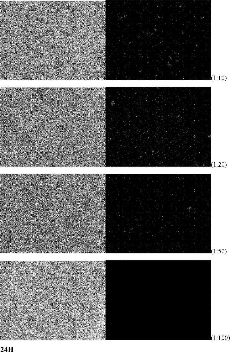 Method for screening anti-aids drug