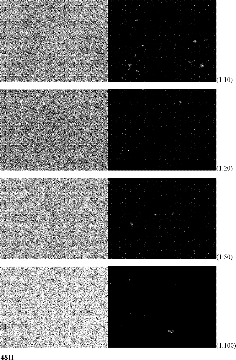 Method for screening anti-aids drug