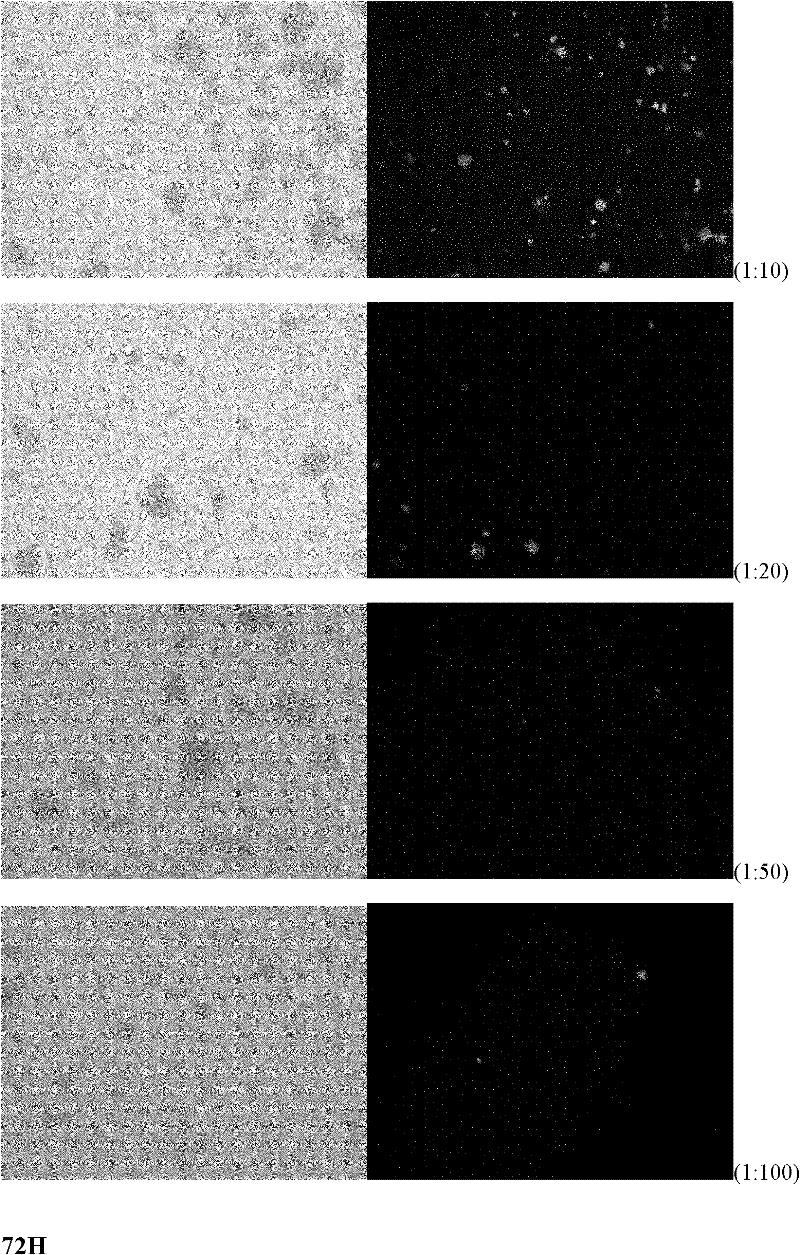 Method for screening anti-aids drug