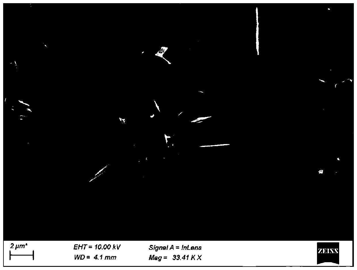 Catalyst for preparing chlorine by oxidizing hydrogen chloride, preparation method and applications thereof