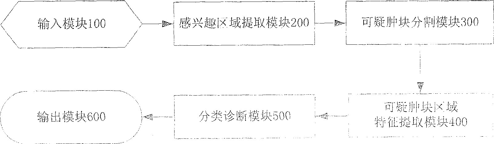 Galactophore cancer computer auxiliary diagnosis system based on galactophore X-ray radiography