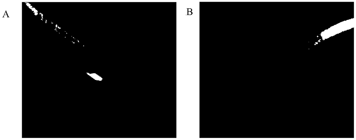 Spermin-vitro capacitation solution, kit applied to in-vitro fertilization and in-vitro fertilization method of mammals