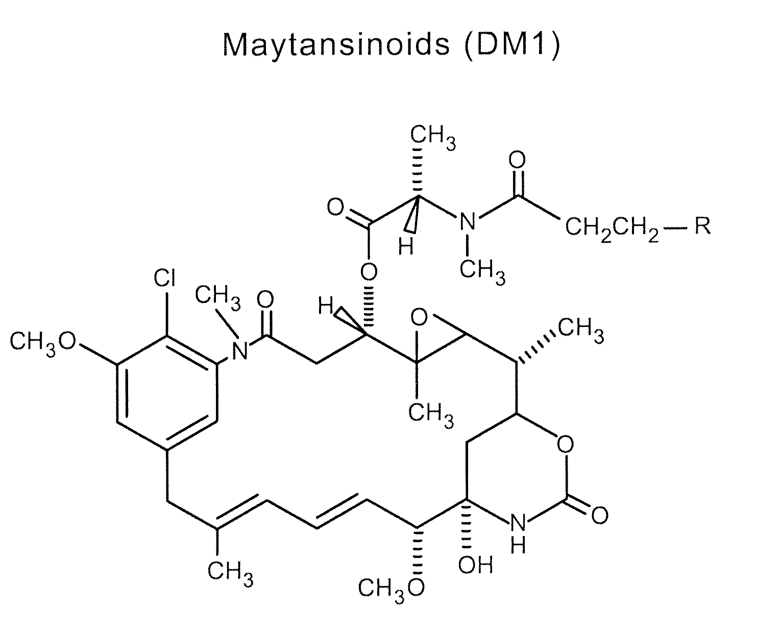 Methods for the identification of polypeptide antigens associated with disorders involving aberrant cell proliferation and compositions useful for the treatment of such disorders