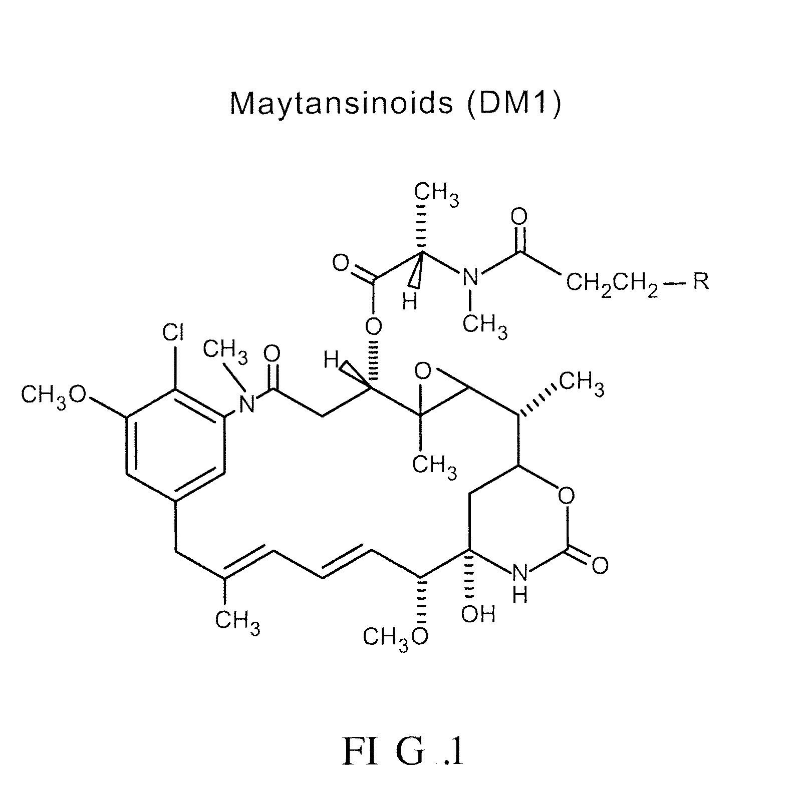 Methods for the identification of polypeptide antigens associated with disorders involving aberrant cell proliferation and compositions useful for the treatment of such disorders