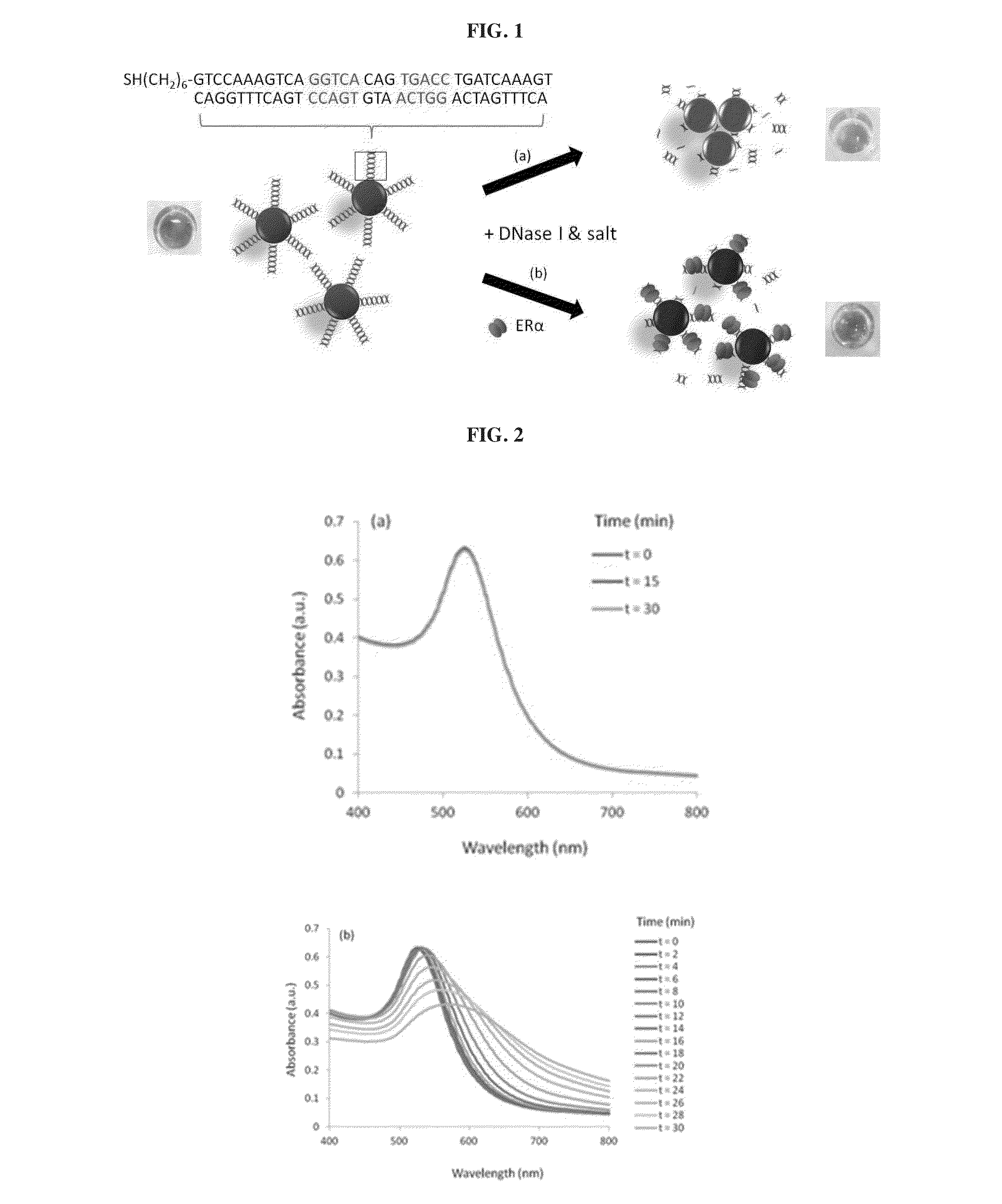 Enzymatic metal nanoparticle sensor for detecting DNA binders