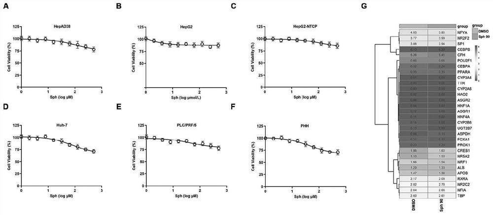 Application of Sphondin as effective component in preparation of drugs for treating hepatitis B