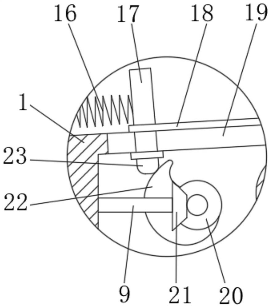 Fish feed feeding device for agricultural field