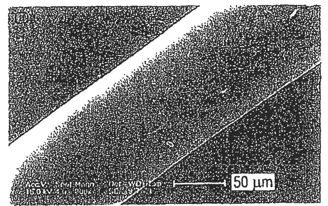 Hollow/porous fibers and applications thereof