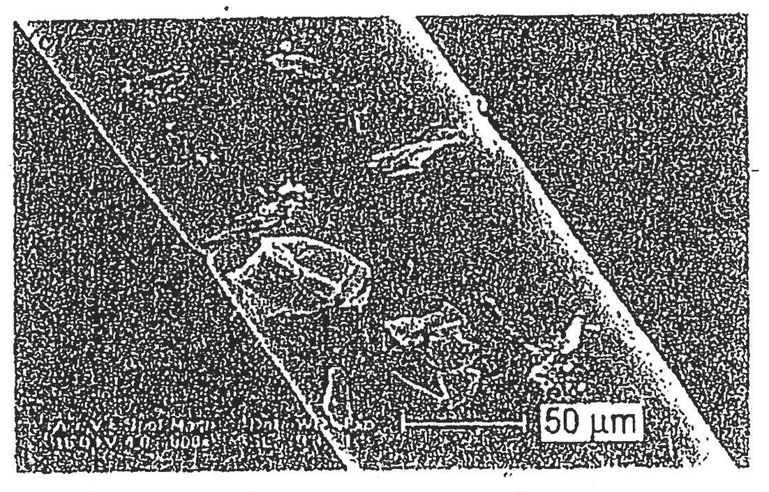 Hollow/porous fibers and applications thereof