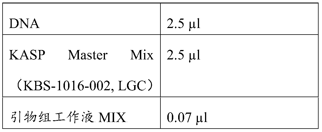 Kit for detecting human breast cancer susceptibility genotyping and use method and application thereof