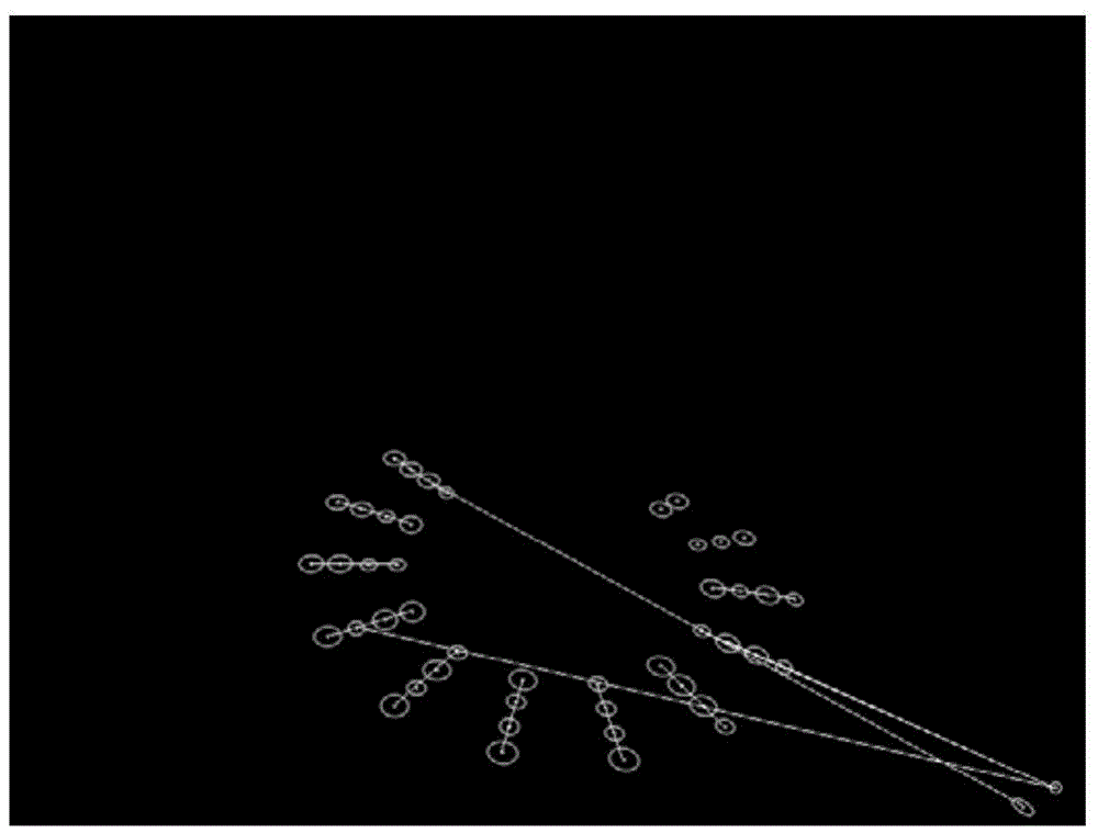 High-precision calibration method of handheld multi-lens camera