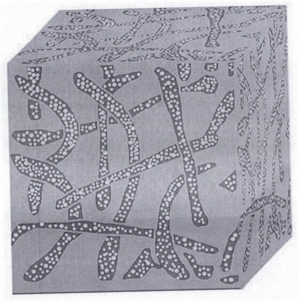 Thermoplastic high-molecular composition interpenetrated network structure and preparation method thereof