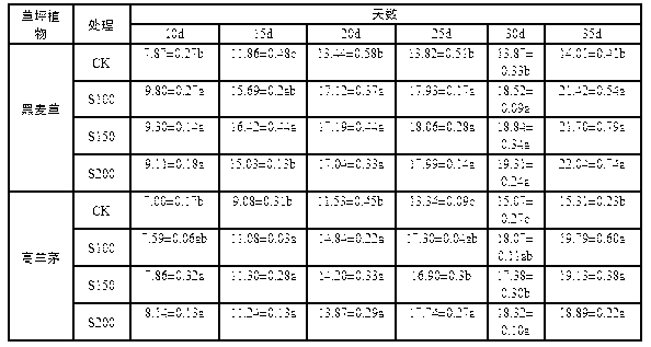 Method for improving protective enzyme activity of turfgrass plants by utilizing air-dried sludge