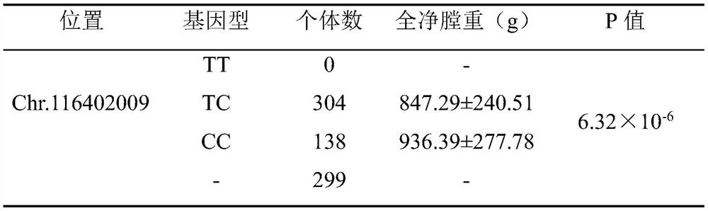 Molecular marker affecting eriscerated yield of chicken and application of molecular marker