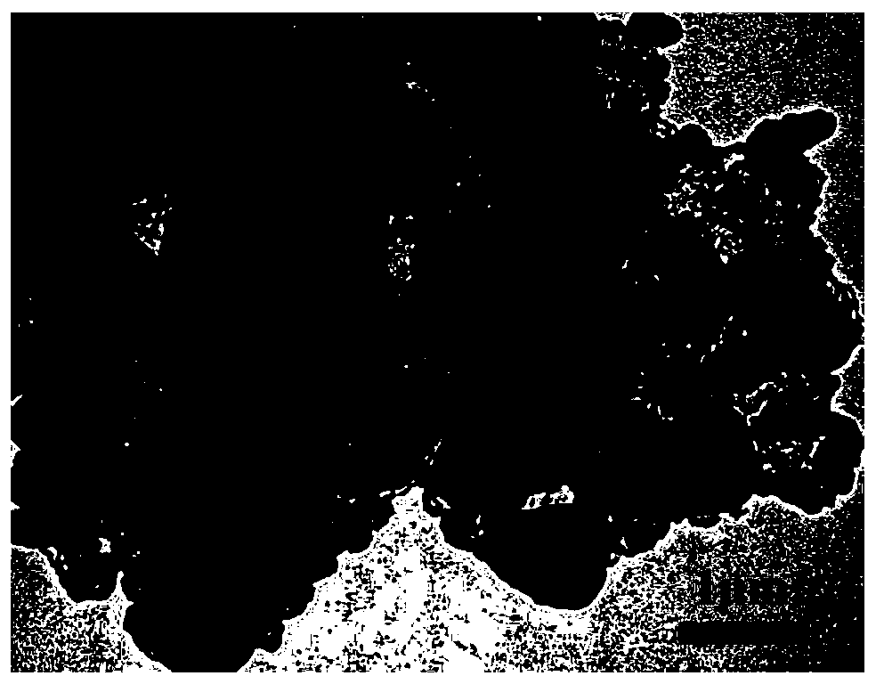 Potassium ion battery positive electrode active material, preparation method thereo fand application thereof