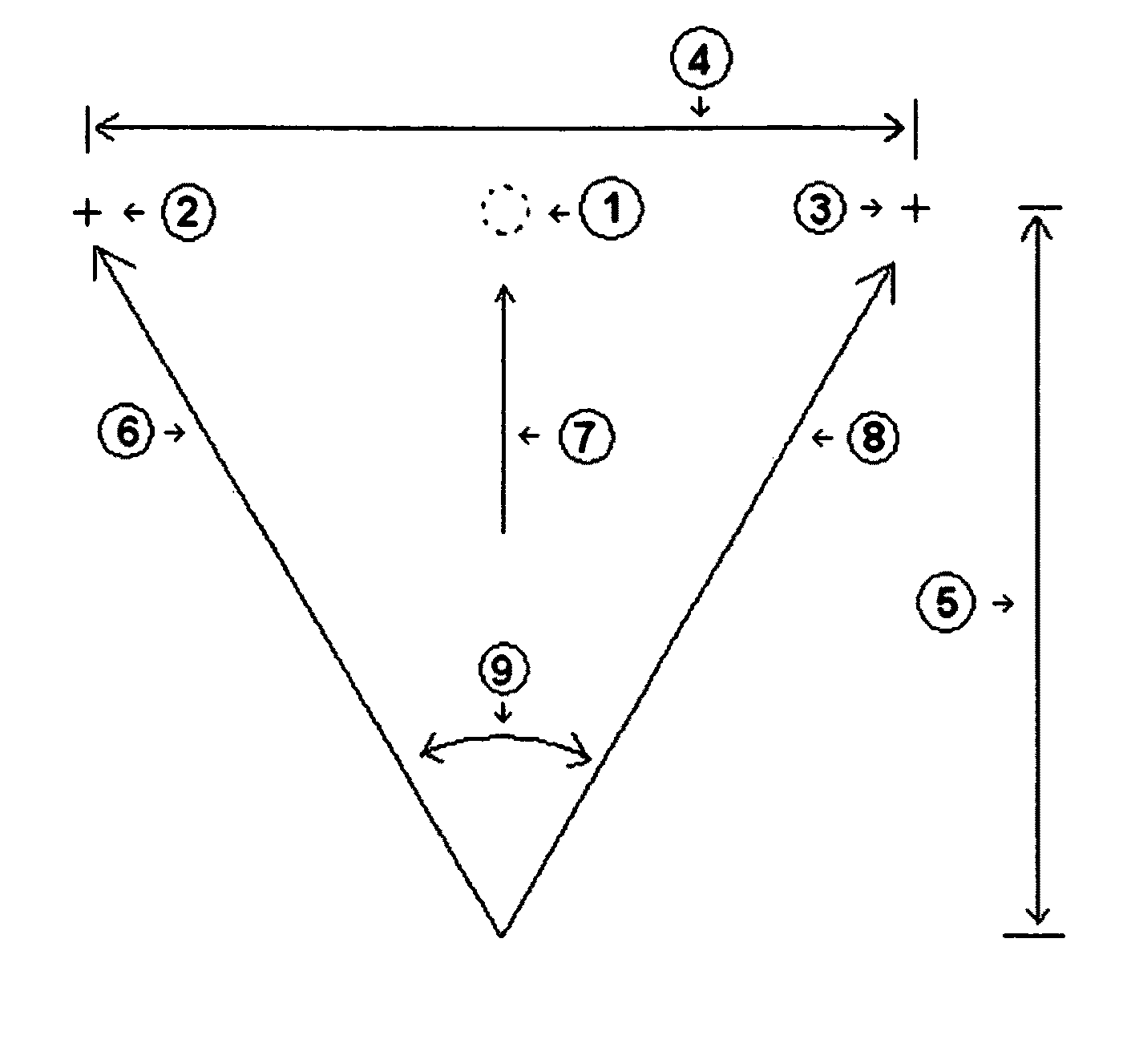 Animated image vision test