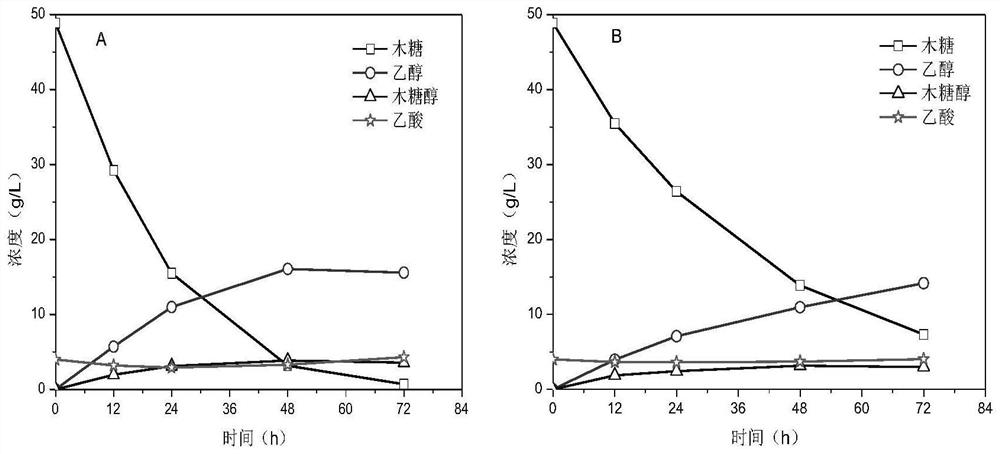 A xylose fermentation strain tolerant to inhibitors and its construction method and application