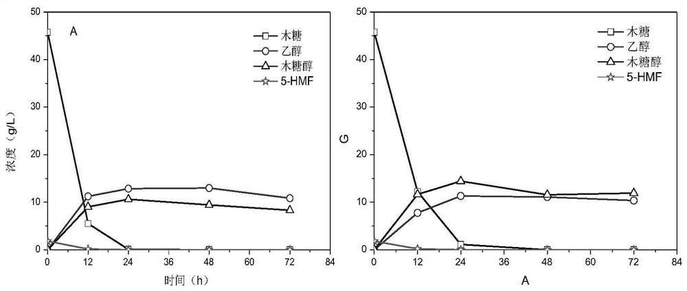 A xylose fermentation strain tolerant to inhibitors and its construction method and application