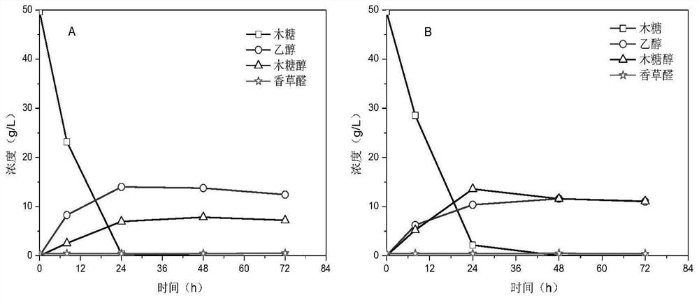 A xylose fermentation strain tolerant to inhibitors and its construction method and application