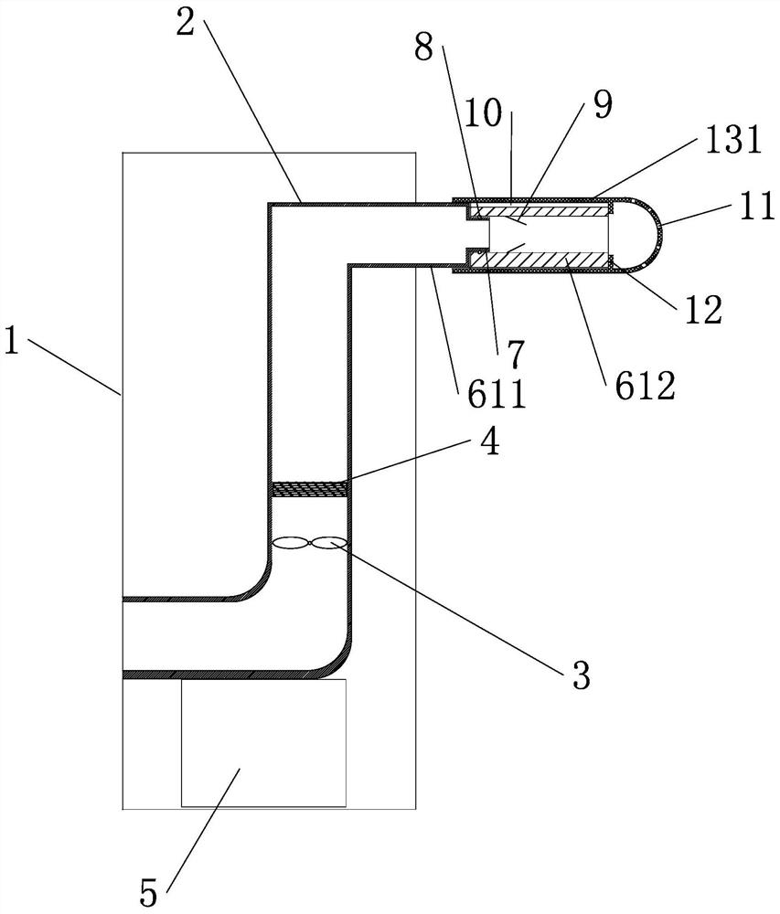 Ear canal drying and cleaning device