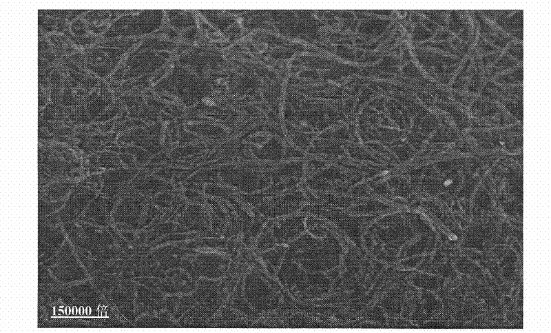 Compound oxygen reduction electro-catalyst of carbon nano materials modified by macrocyclic compound containing nitrogen and preparation method thereof