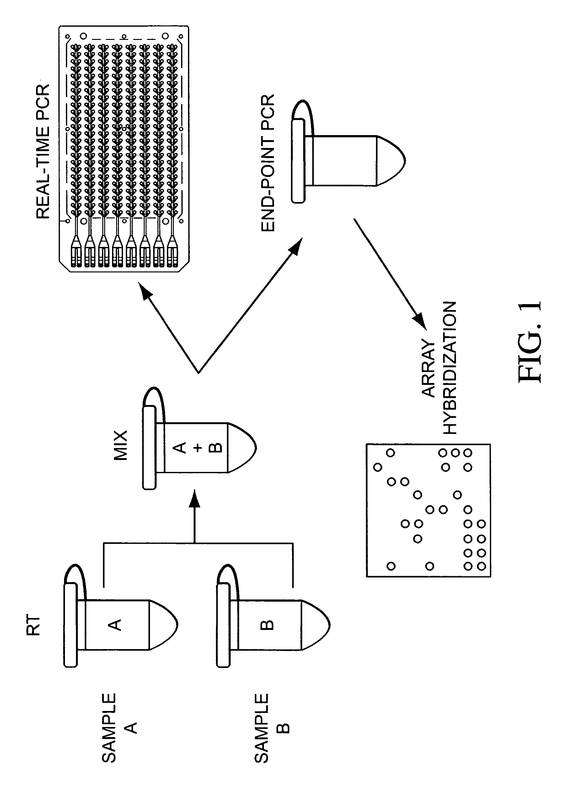 Two-color real-time/end-point quantitation of micrornas (miRNAs)