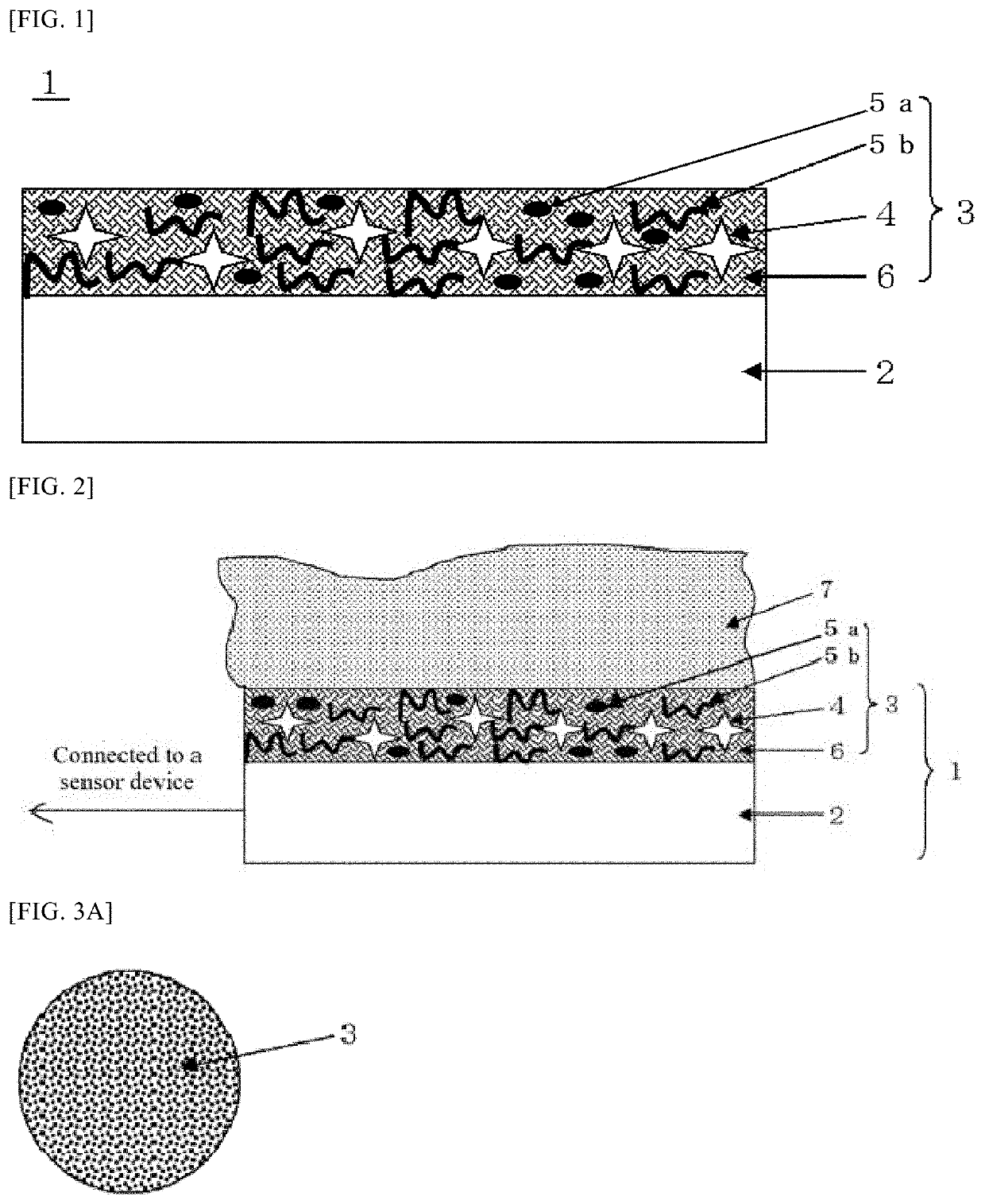 Bio-electrode composition, bio-electrode, and method for manufacturing bio-electrode