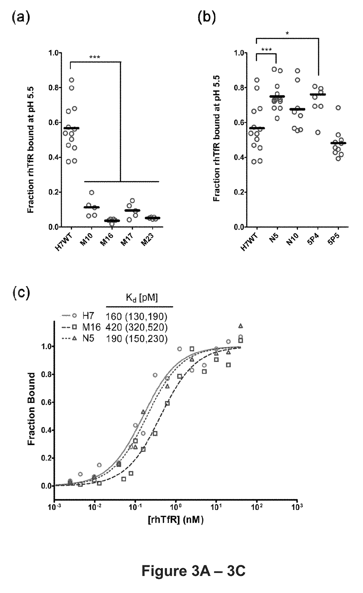 ph dependent antibodies targeting the transferrin receptor