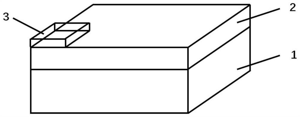 Preparation method of gallium nitride molybdenum disulfide mixed-scale pn junction