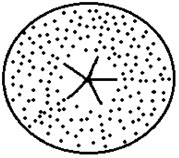 Method for processing kapok fiber raw material