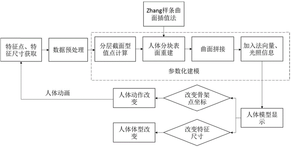 Method for dynamically simulating human body and clothing in computer