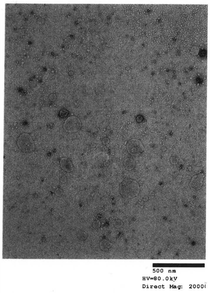 Method for manufacturing immunotherapy vaccine