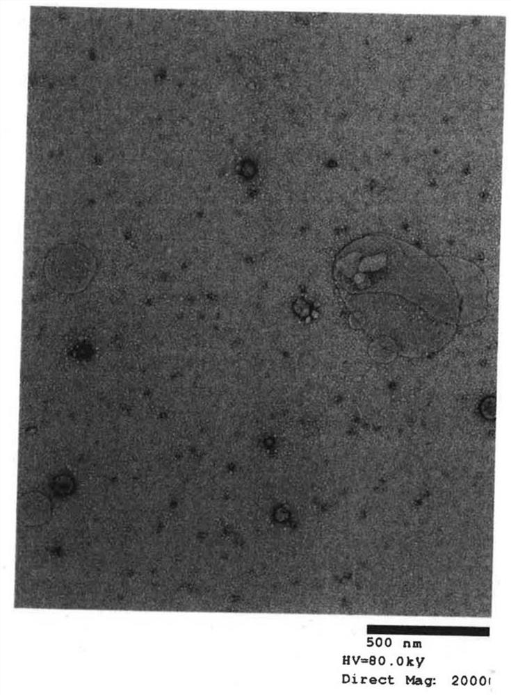 Method for manufacturing immunotherapy vaccine