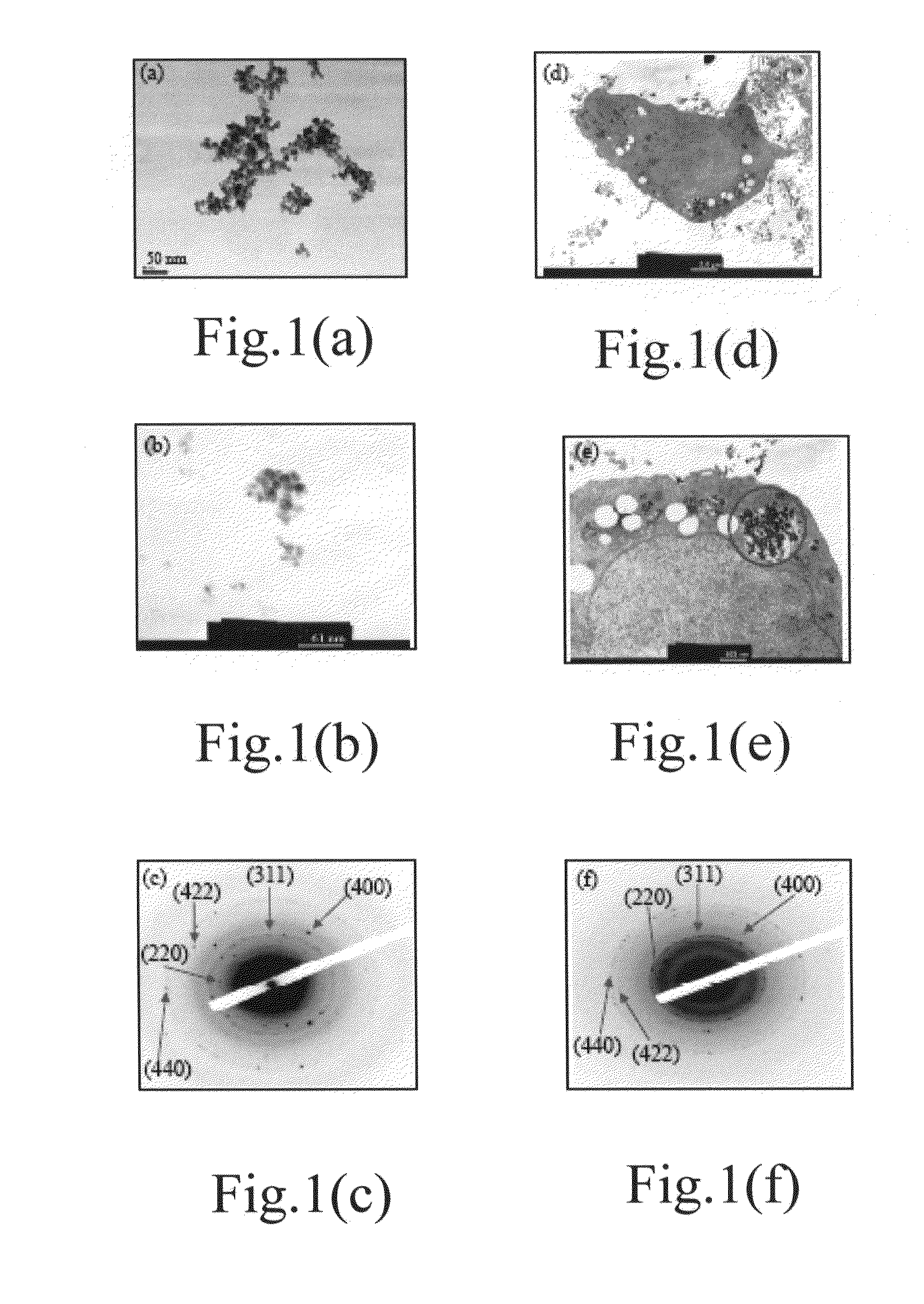 Magnetic nanocomposite for inhibiting/treating cancer and method for fabricating the same