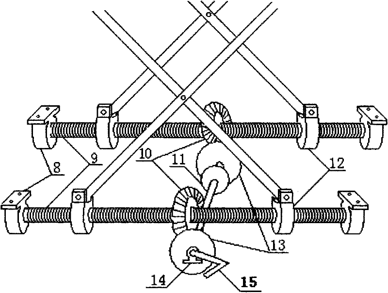 Multifunctional double-screw lifting platform