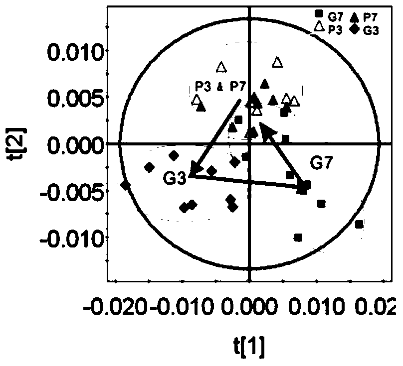 Methods for establishing an animal model of acute high altitude hypoxia and anxiety stress response