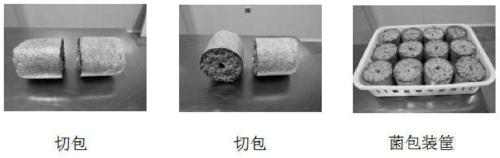 Cultivation method of beech mushroom, white beech mushroom, seafood mushroom, lyophyllum decastes and needle mushrooms