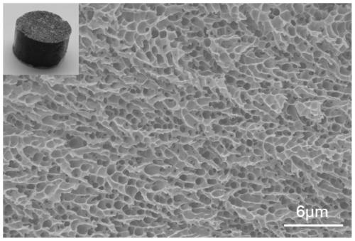 Preparation method and application of nano-limited-range photocatalytic hydrogel