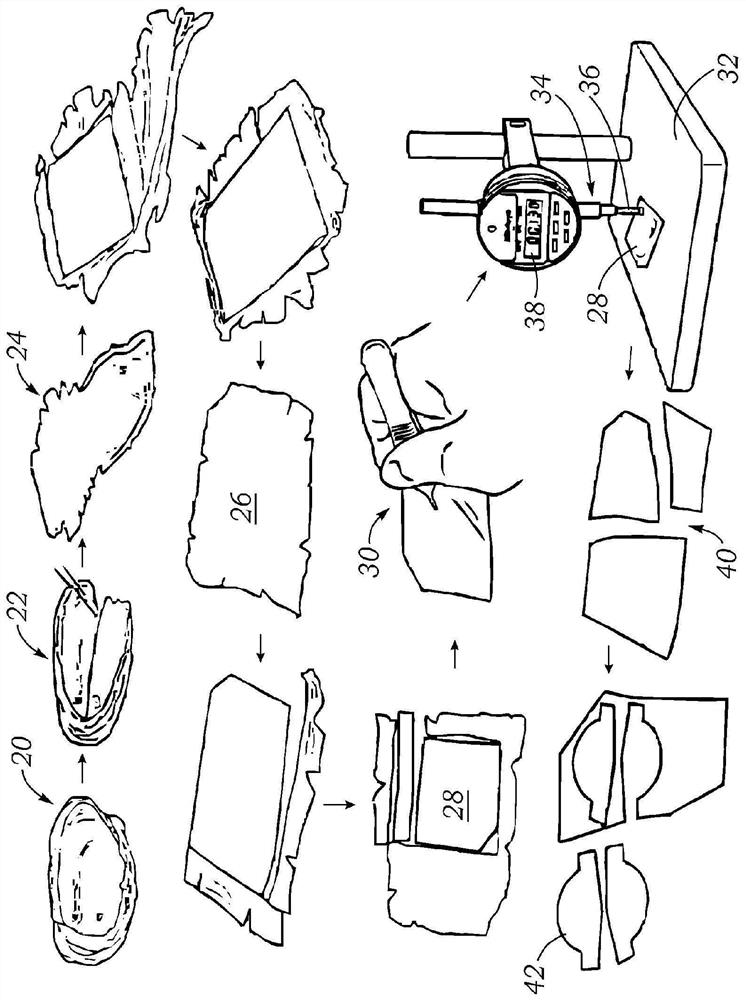 Optical tissue measurement