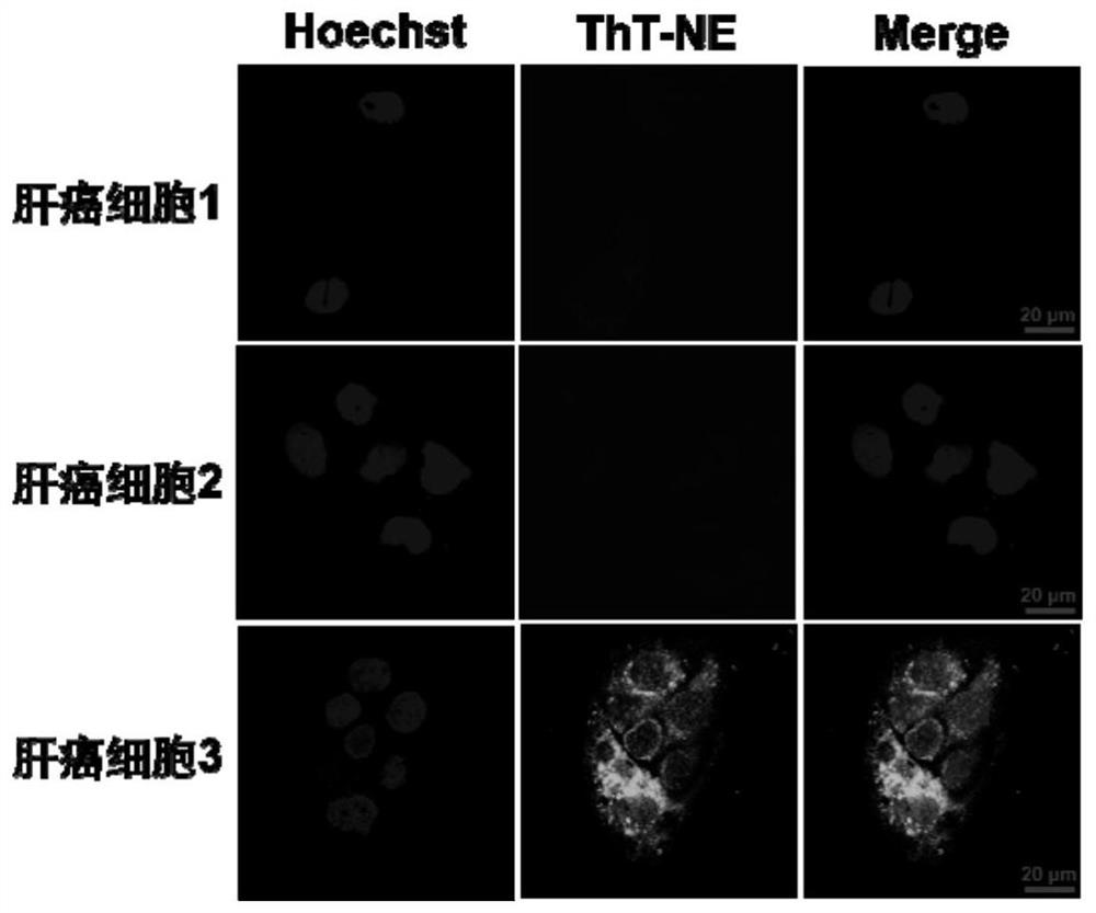 G-quadruplex fluorescent dye and method based on highly conserved region G-quadruplex structure of HCV genome