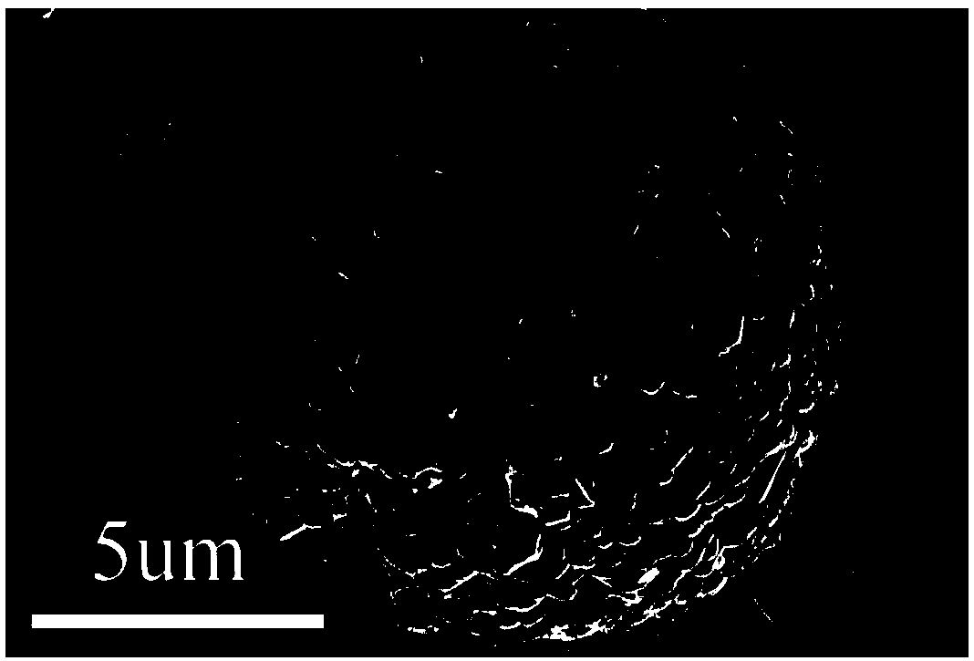 Method for preparing ternary cathode material NCA of lithium ion battery