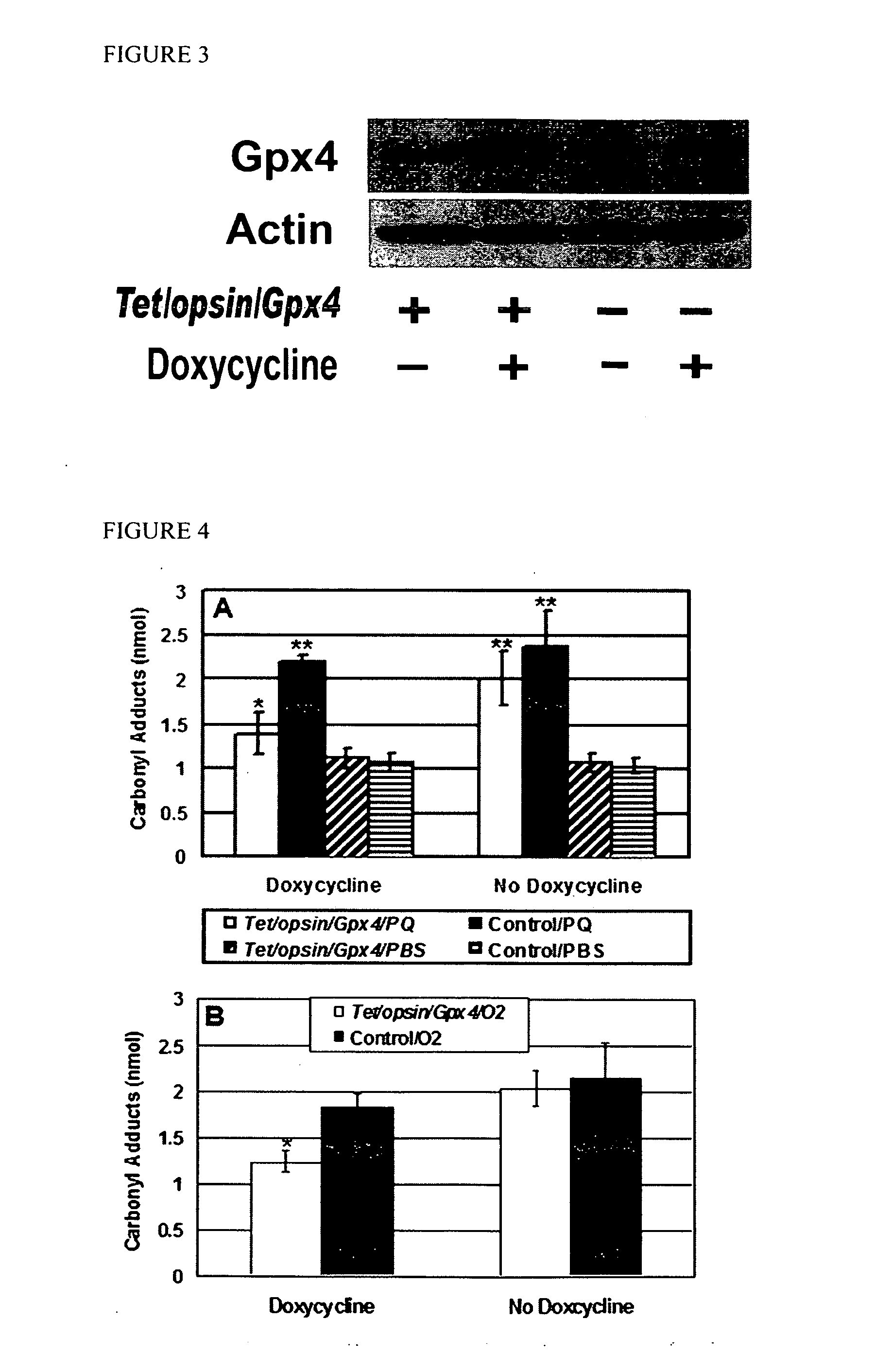 Compositions and methods for the treatment of ocular oxidative stress and retinitis pigmentosa