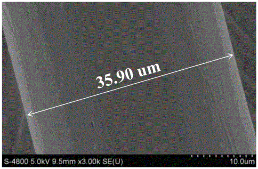 A kind of silver-plated conductive polyester fiber and preparation method thereof