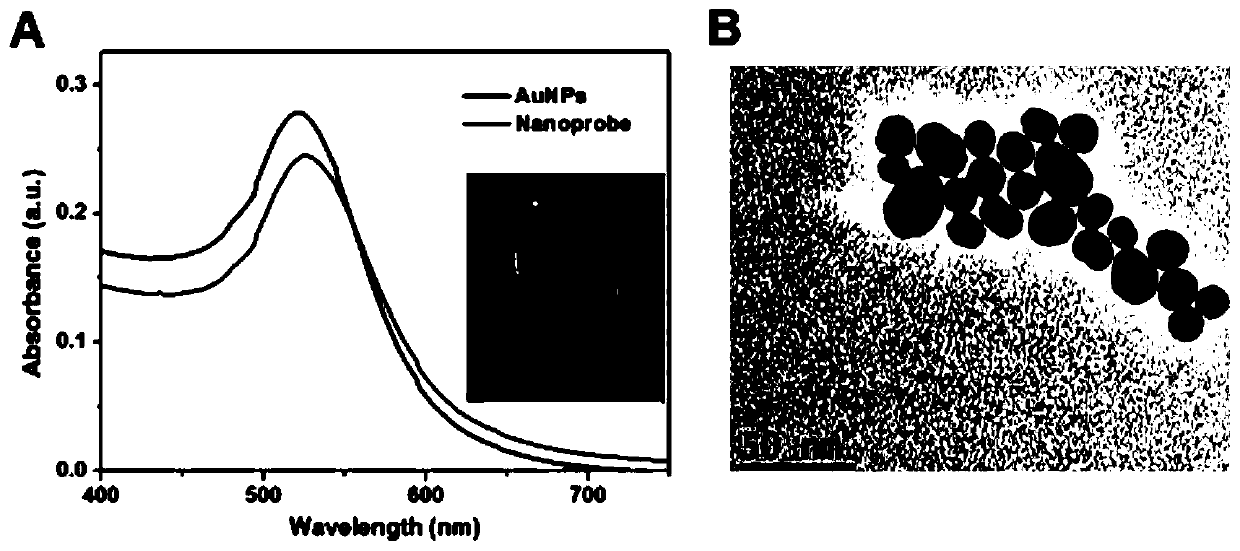 A dual-color detection and imaging probe of apoptosis and its application